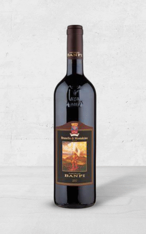 Alehandro Group | Wine Shop | Alehandro Wine Shop