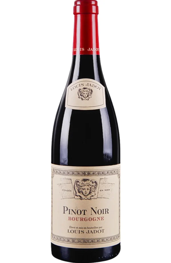 BOURGOGNE PINOT NOIR - LOUIS JADOT