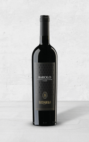 Alehandro Group | Wine Shop | Alehandro Wine Shop