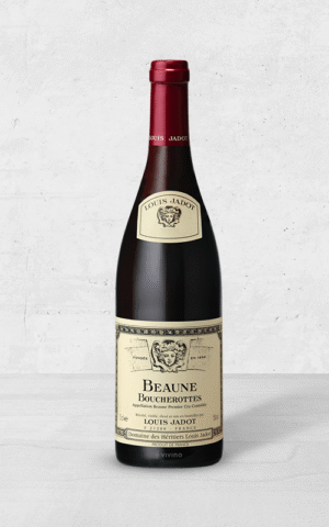 Alehandro Group | Wine Shop | Alehandro Wine Shop