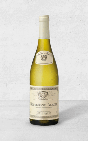 Alehandro Group | Wine Shop | Alehandro Wine Shop