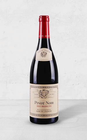 Alehandro Group | Wine Shop | Alehandro Wine Shop