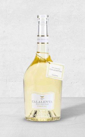 Alehandro Group | Wine Shop | Alehandro Wine Shop