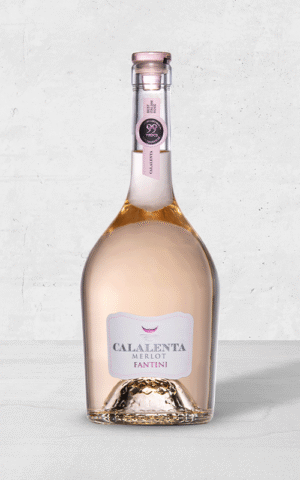 Alehandro Group | Wine Shop | Alehandro Wine Shop