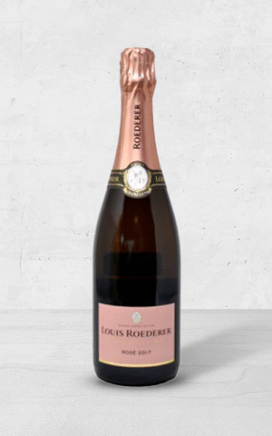 Alehandro Group | Wine Shop | Alehandro Wine Shop