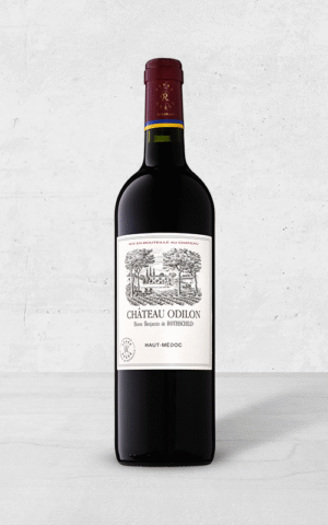 Alehandro Group | Wine Shop | Alehandro Wine Shop