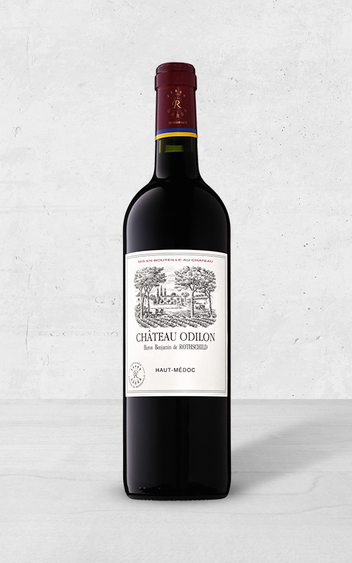 Alehandro Group | Wine Shop | Alehandro Wine Shop