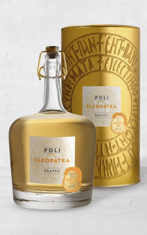 Alehandro Group | Wine Shop | Alehandro Wine Shop