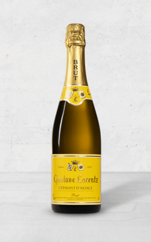 Alehandro Group | Wine Shop | Alehandro Wine Shop