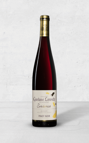 Alehandro Group | Wine Shop | Alehandro Wine Shop