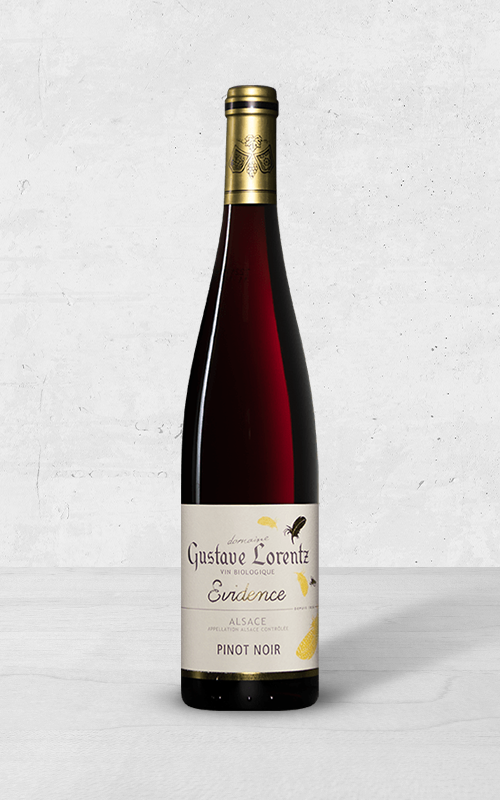 Alehandro Group | Wine Shop | Alehandro Wine Shop