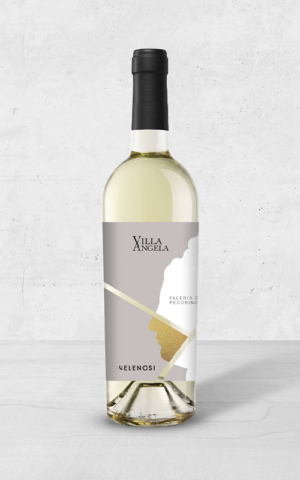 Alehandro Group | Wine Shop | Alehandro Wine Shop