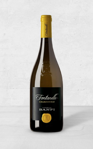 Alehandro Group | Wine Shop | Alehandro Wine Shop