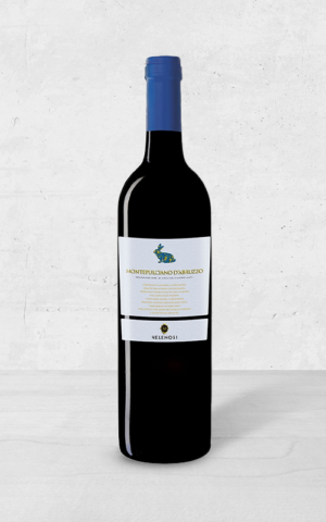 Alehandro Group | Wine Shop | Alehandro Wine Shop