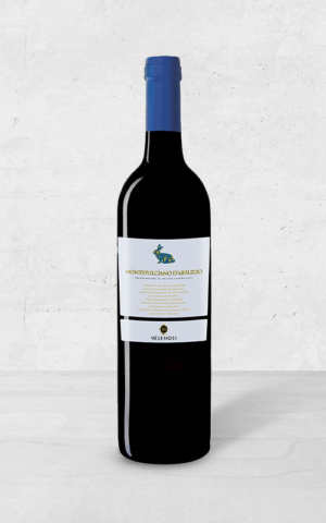 Alehandro Group | Wine Shop | Alehandro Wine Shop