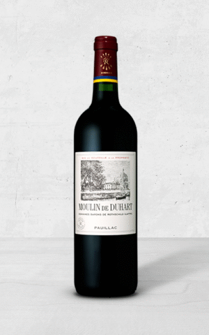 Alehandro Group | Wine Shop | Alehandro Wine Shop