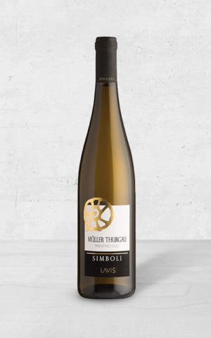 Alehandro Group | Wine Shop | Alehandro Wine Shop