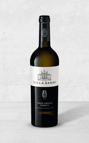 Alehandro Group | Wine Shop | Alehandro Wine Shop