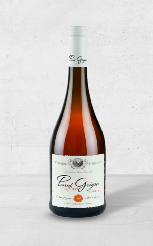 Alehandro Group | Wine Shop | Alehandro Wine Shop