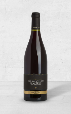 Alehandro Group | Wine Shop | Alehandro Wine Shop