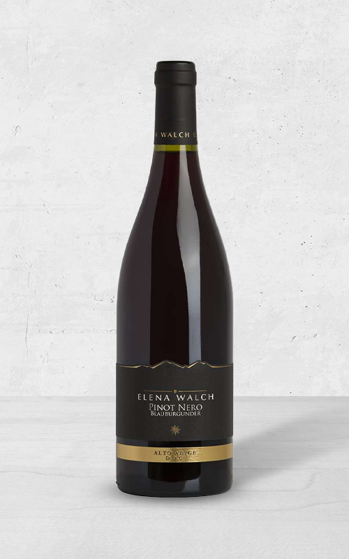 Alehandro Group | Wine Shop | Alehandro Wine Shop