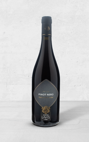 Alehandro Group | Wine Shop | Alehandro Wine Shop