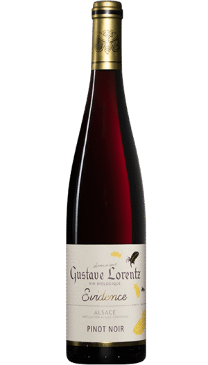 EVIDENCE PINOT NOIR - GUSTAVE LORENTZ