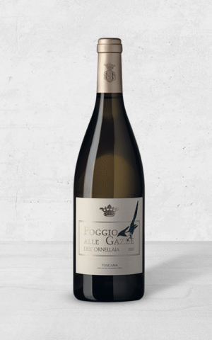 Alehandro Group | Wine Shop | Alehandro Wine Shop