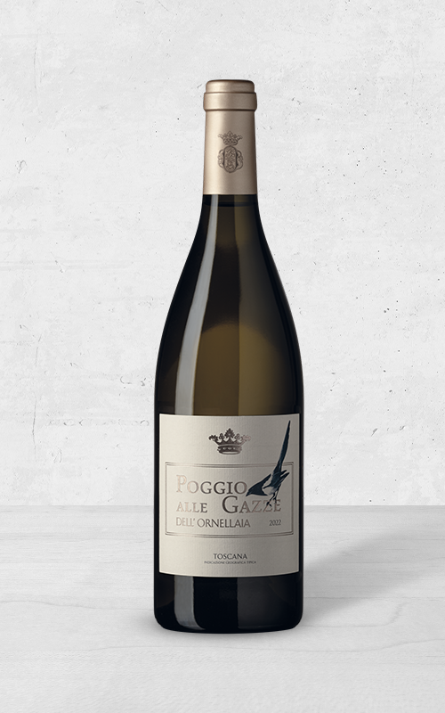 Alehandro Group | Wine Shop | Alehandro Wine Shop