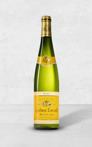 Alehandro Group | Wine Shop | Alehandro Wine Shop