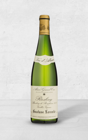 Alehandro Group | Wine Shop | Alehandro Wine Shop