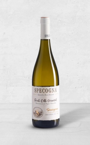 Alehandro Group | Wine Shop | Alehandro Wine Shop