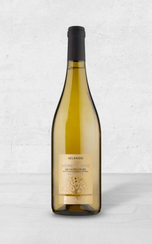 Alehandro Group | Wine Shop | Alehandro Wine Shop