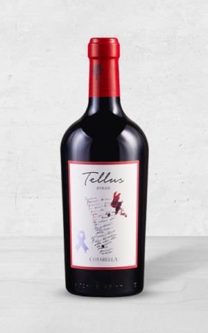 Alehandro Group | Wine Shop | Alehandro Wine Shop