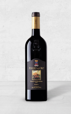 Alehandro Group | Wine Shop | Alehandro Wine Shop