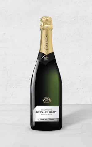 Alehandro Group | Wine Shop | Alehandro Wine Shop