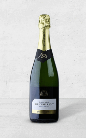 Alehandro Group | Wine Shop | Alehandro Wine Shop