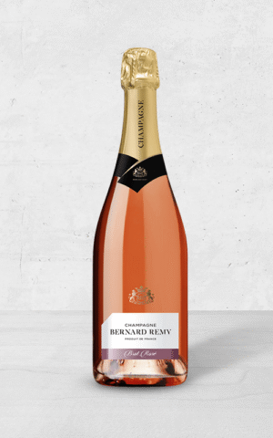 Alehandro Group | Wine Shop | Alehandro Wine Shop