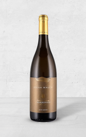 Alehandro Group | Wine Shop | Alehandro Wine Shop