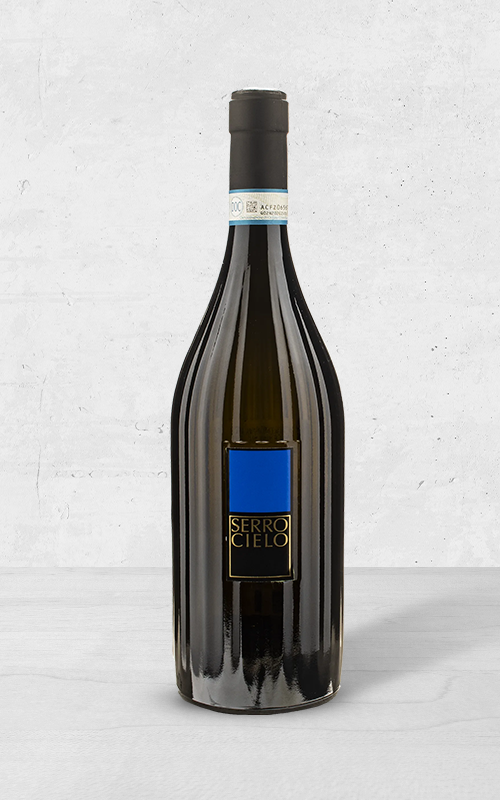 Alehandro Group | Wine Shop | Alehandro Wine Shop