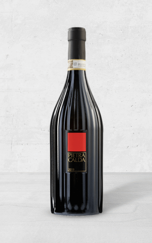 Alehandro Group | Wine Shop | Alehandro Wine Shop