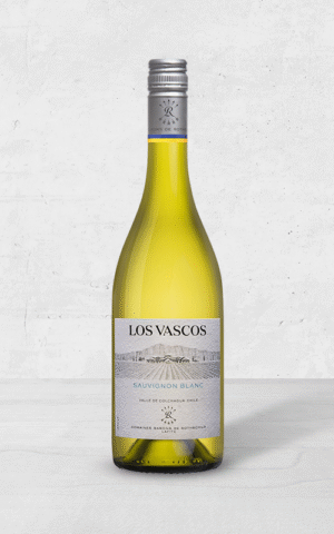 Alehandro Group | Wine Shop | Alehandro Wine Shop