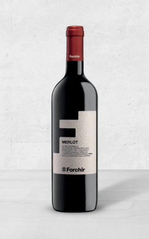 Alehandro Group | Wine Shop | Alehandro Wine Shop