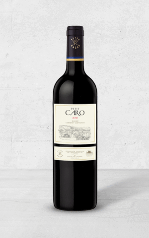 Alehandro Group | Wine Shop | Alehandro Wine Shop