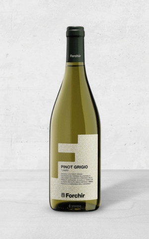 Alehandro Group | Wine Shop | Alehandro Wine Shop