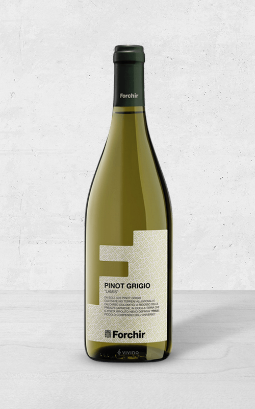 Alehandro Group | Wine Shop | Alehandro Wine Shop