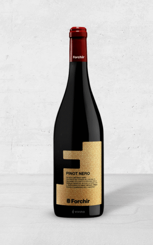 Alehandro Group | Wine Shop | Alehandro Wine Shop