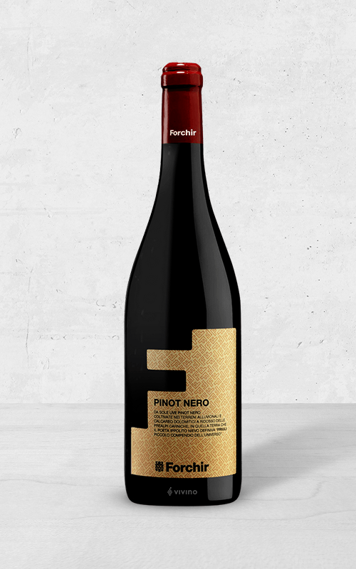 Alehandro Group | Wine Shop | Alehandro Wine Shop