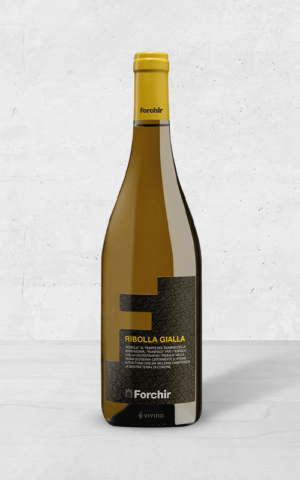 Alehandro Group | Wine Shop | Alehandro Wine Shop