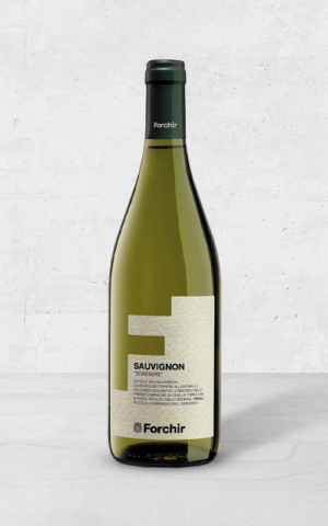 Alehandro Group | Wine Shop | Alehandro Wine Shop